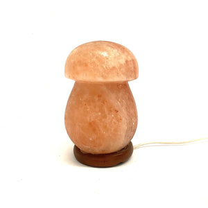 Modelo de cogumelo lâmpada de sal do Himalaia