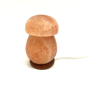 Modelo de cogumelo lâmpada de sal do Himalaia