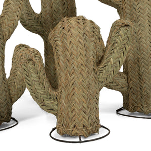 Cactus de esparto vegetal en 6 tamaños