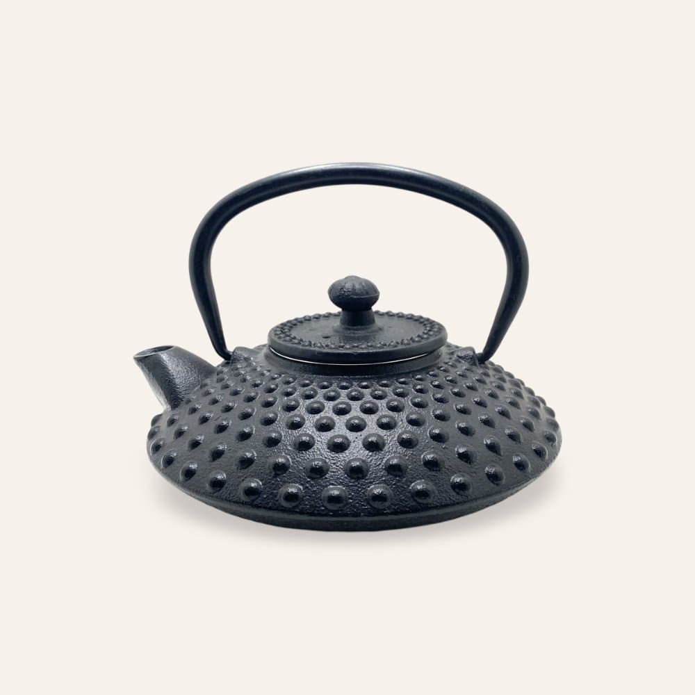 tetera japonesa hierro 450